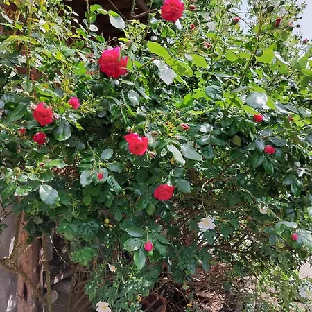 Auszeit Hof Narla アパート