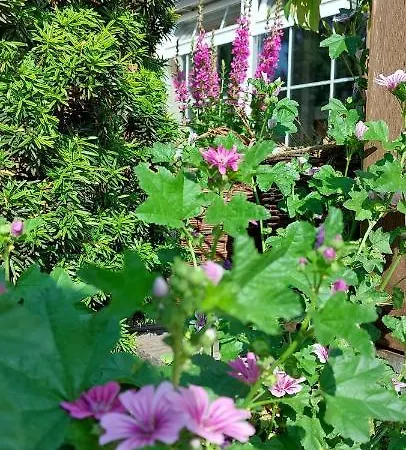 Auszeit Hof Narla Bahnsdorf