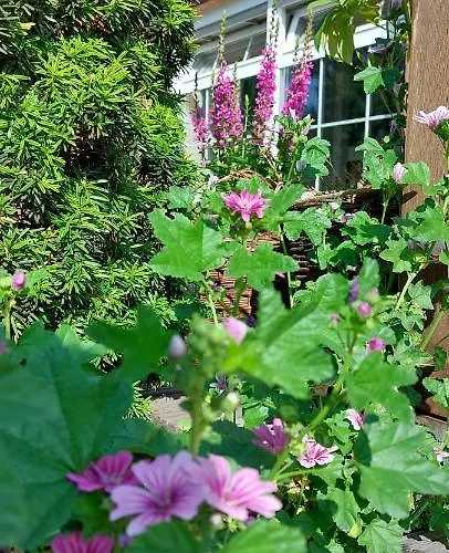 Auszeit Hof Narla Bahnsdorf